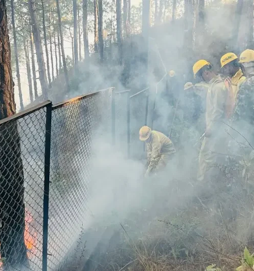 डढेलो नियन्त्रण गर्न सुरक्षाकर्मीसहितको प्राविधिक टोली