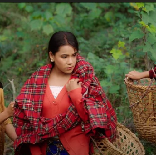 अनिल लम्सालको नयाँ गीत “झिलिमिली बत्ती छ” सार्वजनिक