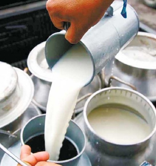दूधमा अनुदान पाउन थालेपछि बाग्लुङका किसान उत्साहित