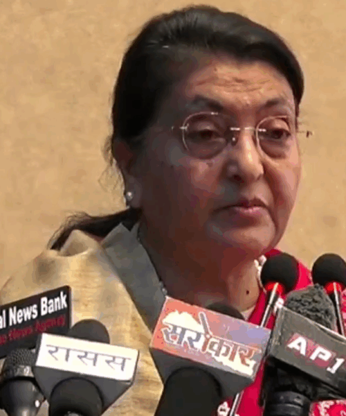 कला र साहित्यले विश्वव्यापी भाइचारालाई मजबुत बनाउँछ : पूर्वराष्ट्रपति