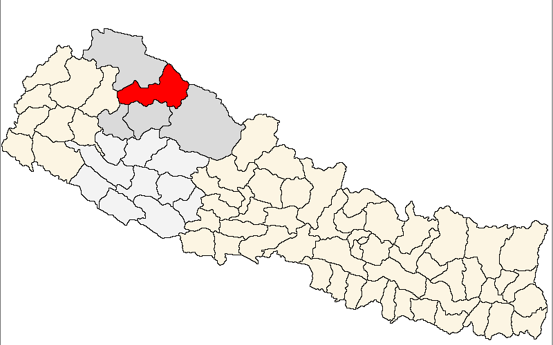करेन्ट लागेर मुगुमा १० खच्चर मरे, विद्युत् प्राधिकरणमाथि आरोप