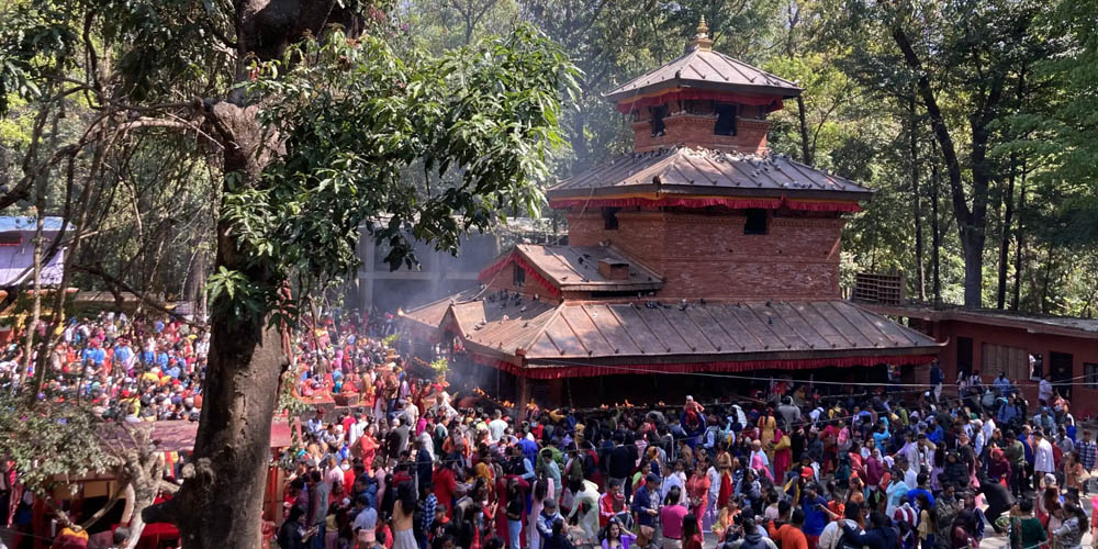 गृहपृष्ठ