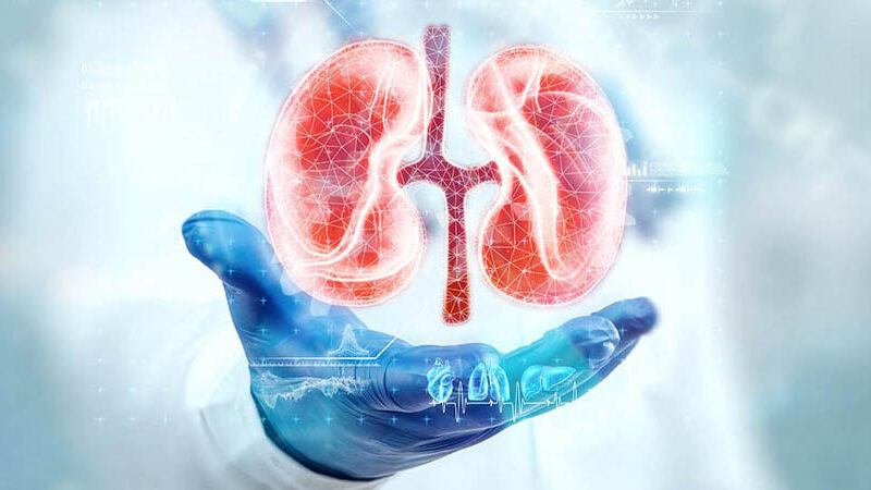 मिर्गौला स्वस्थ राख्न पानी कति पिउने ?