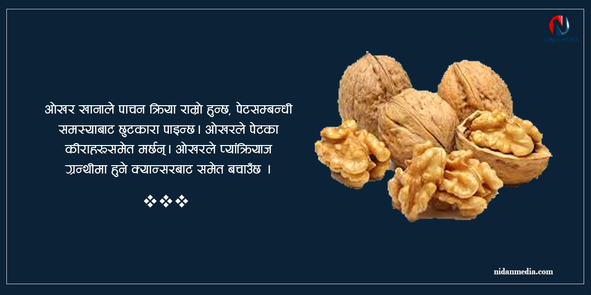 गृहपृष्ठ