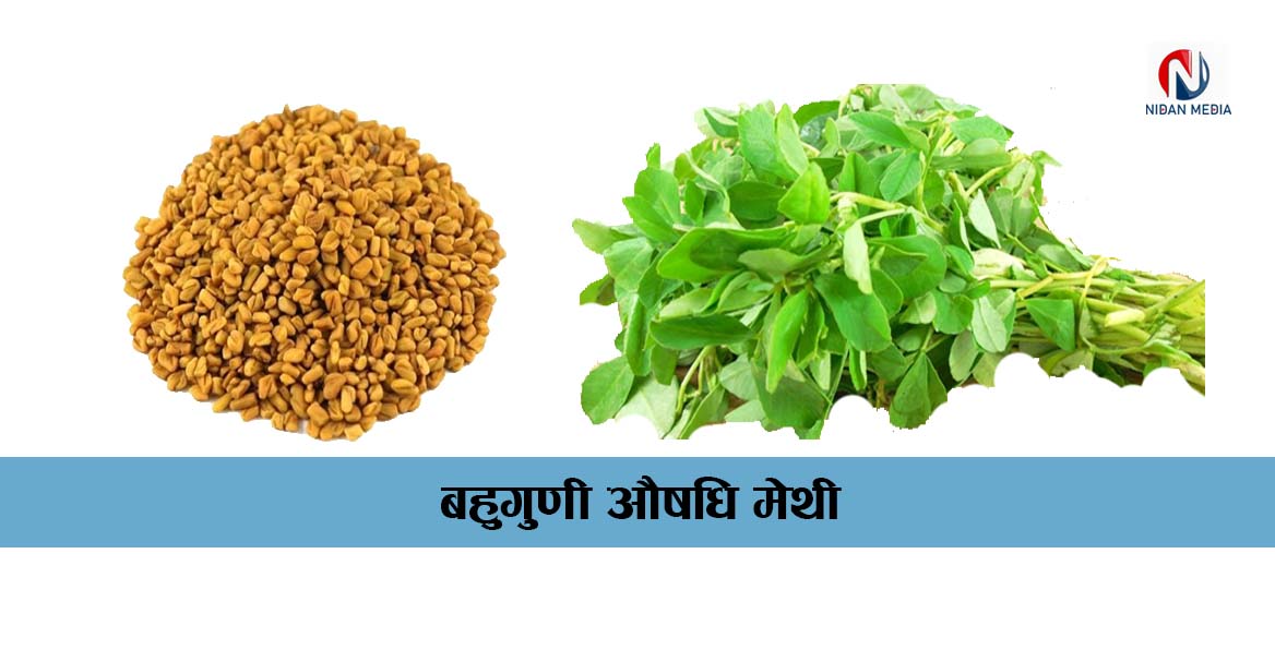 गृहपृष्ठ