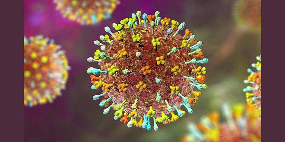 निपाह भाइरसको जोखिम: नआत्तिन तर सतर्क रहन आग्रह