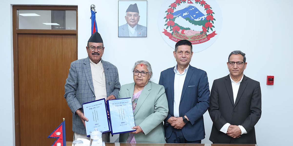 कार्की आयोगले क-कसलाई गर्‍यो कारबाही सिफारिस ?