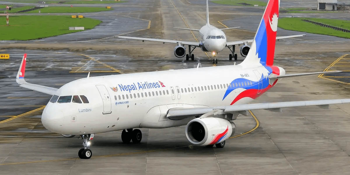 चट्याङबाट क्षति पुगेको न्यारोबडी जहाजको छानबिन गर्न समिति गठन