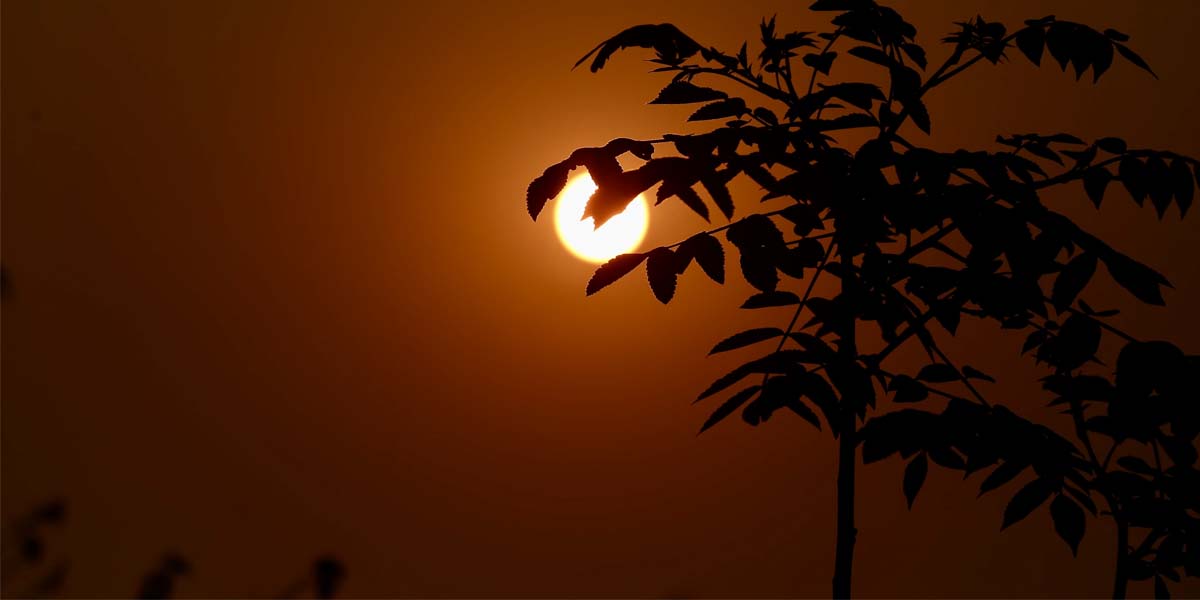 नयाँ वर्ष २०८३ को प्रारम्भ, हर्षोल्लासका साथ मनाइँदै