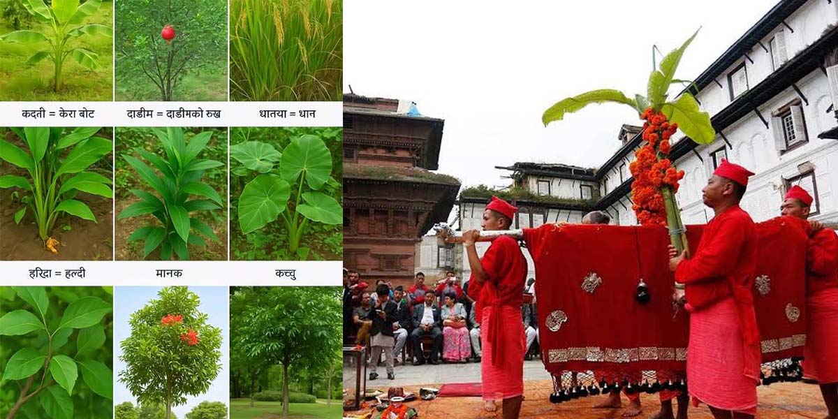 आज फूलपाती भित्र्याइँदै, कालरात्रि देवीको विधिपूर्वक पूजा आराधना
